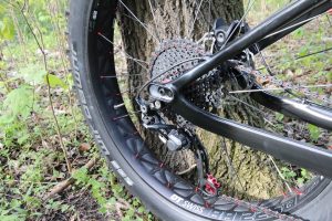 A bicycle tire in the wood