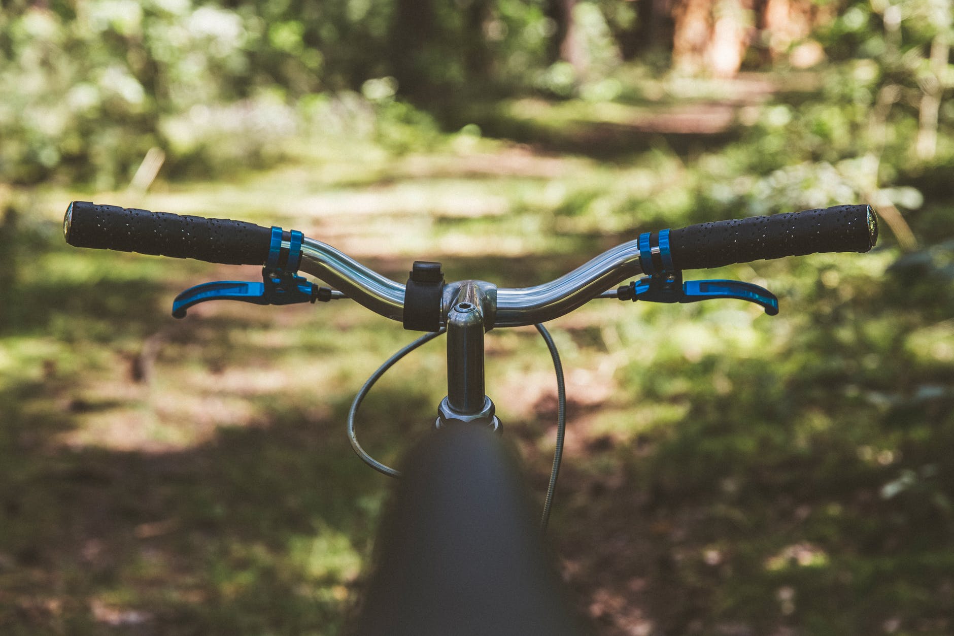 Ein Bild von einem Fahrradrahmen im Wald