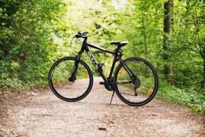 Hybrid bike on a forest pavement
